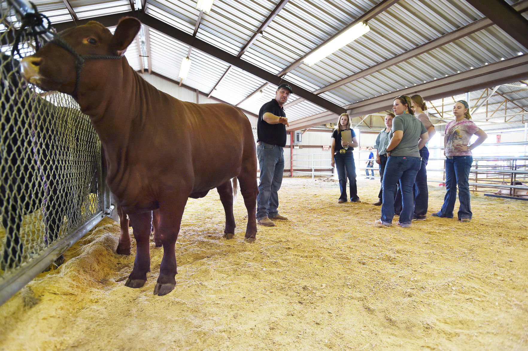 DRC_LivestockJudging3.jpg
